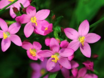 有气质的女生网名有哪些？