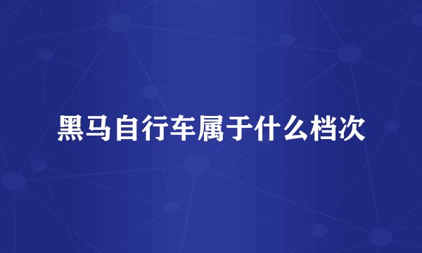 黑马自行车属于什么档次