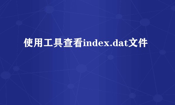 使用工具查看index.dat文件