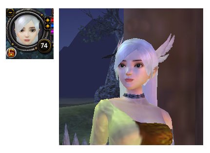 找这个完美国际女法师代码