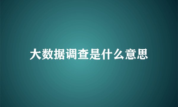 大数据调查是什么意思