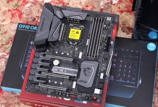 g310m支持几代cpu？