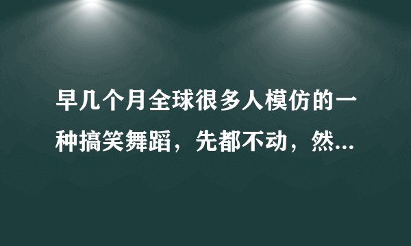 早几个月全球很多人模仿的一种搞笑舞蹈，先都不动，然后一下就疯了