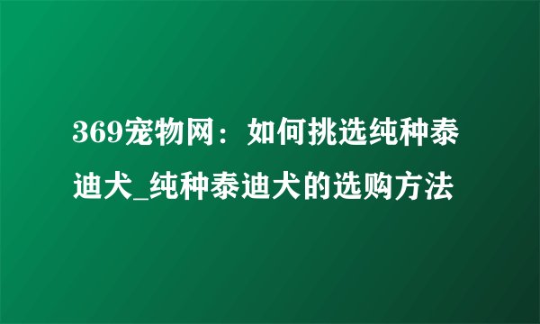 369宠物网：如何挑选纯种泰迪犬_纯种泰迪犬的选购方法