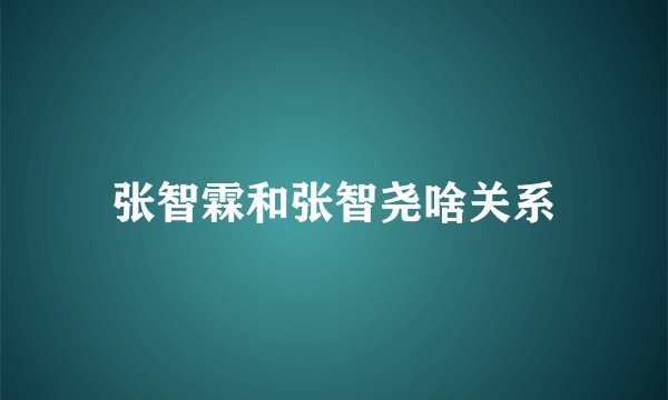 张智霖和张智尧啥关系