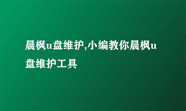 晨枫u盘维护,小编教你晨枫u盘维护工具