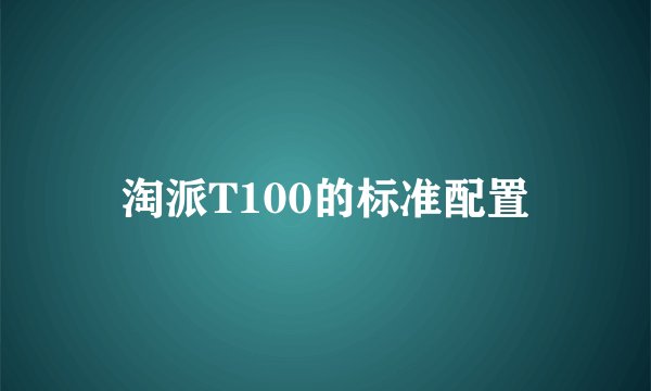 淘派T100的标准配置