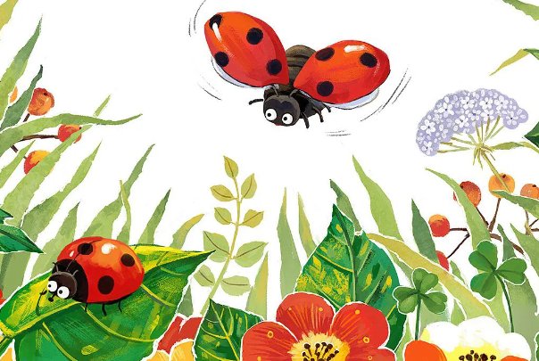 我是一只小虫子这个故事告诉我们什么道理