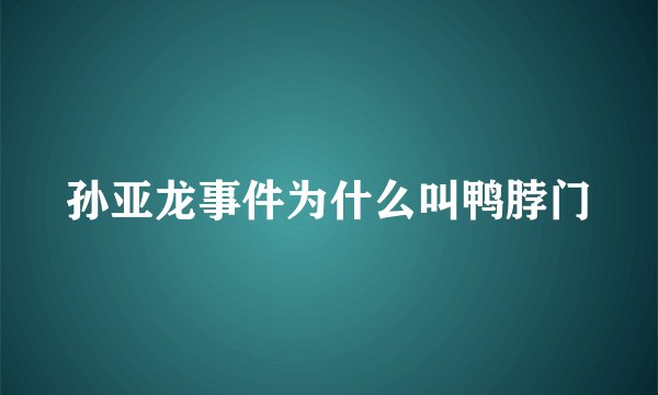 孙亚龙事件为什么叫鸭脖门