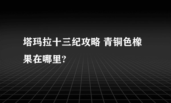 塔玛拉十三纪攻略 青铜色橡果在哪里?