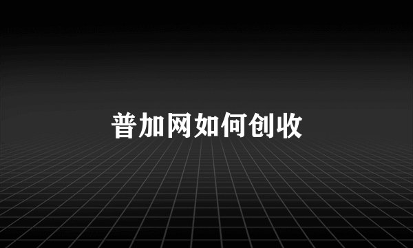 普加网如何创收