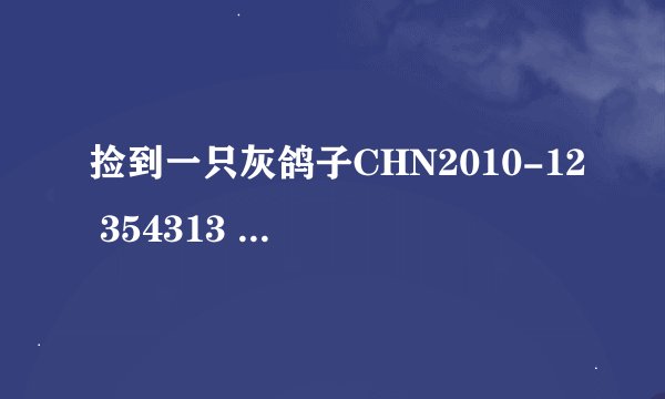 捡到一只灰鸽子CHN2010-12 354313 是什么意思
