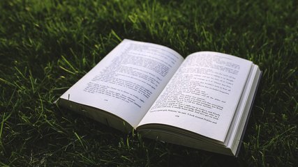 一本你喜爱的书就是什么？