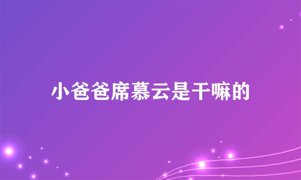 小爸爸席慕云是干嘛的