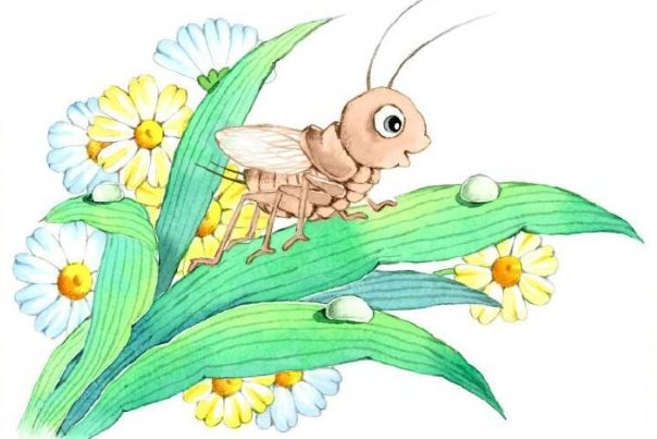 我是一只小虫子这个故事告诉我们什么道理