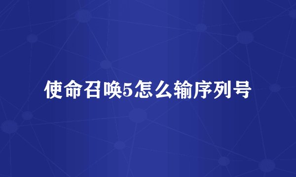 使命召唤5怎么输序列号