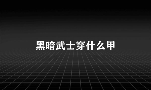 黑暗武士穿什么甲