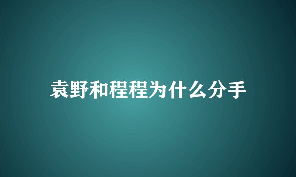 袁野和程程为什么分手
