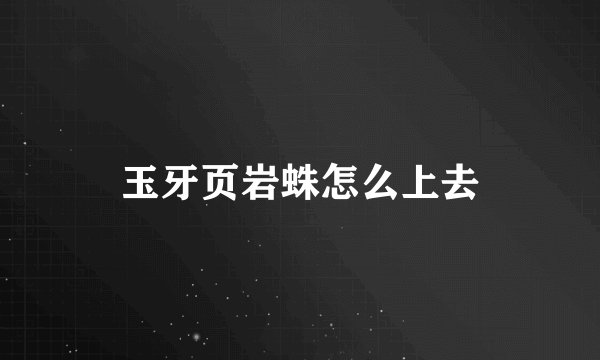 玉牙页岩蛛怎么上去