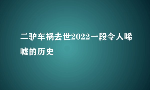 二驴车祸去世2022一段令人唏嘘的历史