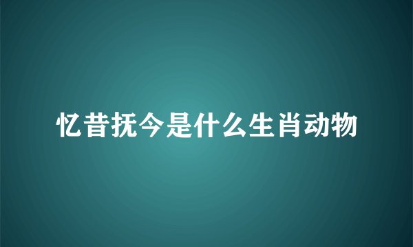 忆昔抚今是什么生肖动物