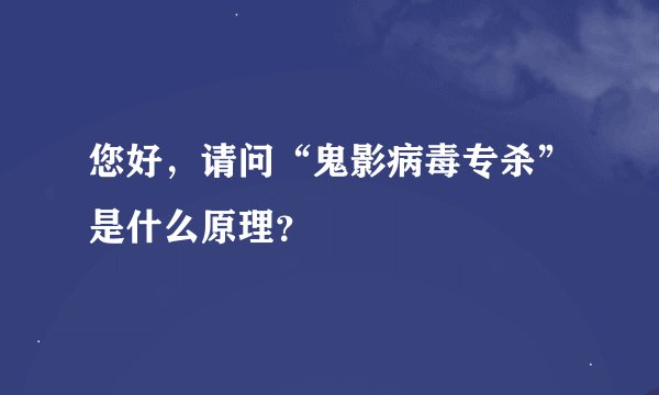 您好，请问“鬼影病毒专杀”是什么原理？