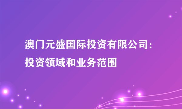 澳门元盛国际投资有限公司：投资领域和业务范围