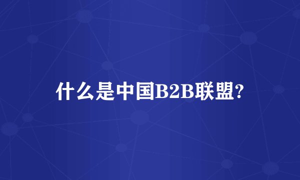什么是中国B2B联盟?