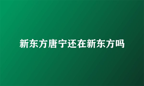 新东方唐宁还在新东方吗