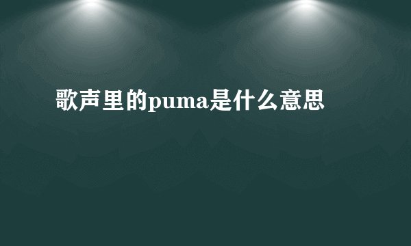 歌声里的puma是什么意思