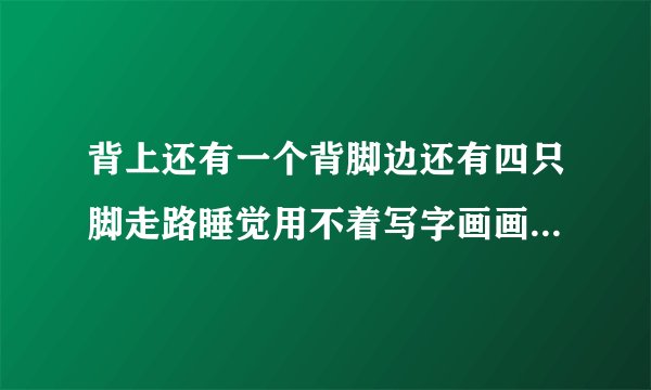 背上还有一个背脚边还有四只脚走路睡觉用不着写字画画要它帮是指那个生肖求答案？