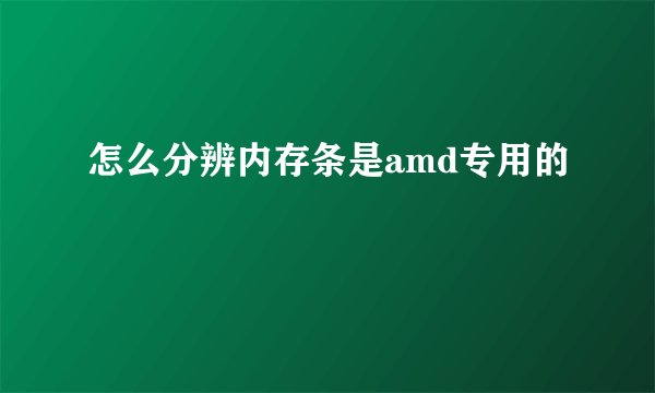 怎么分辨内存条是amd专用的