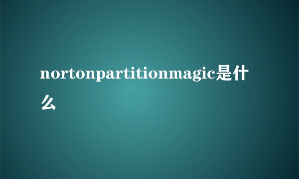 nortonpartitionmagic是什么
