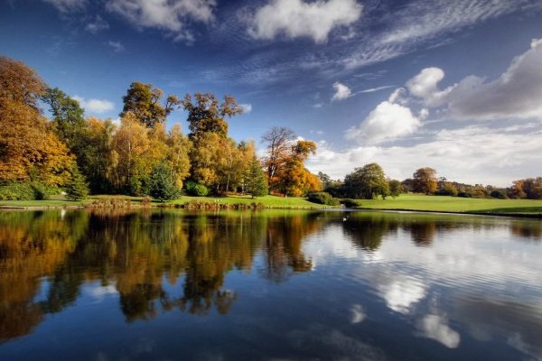 杨家后宅全冬儿讲的什么