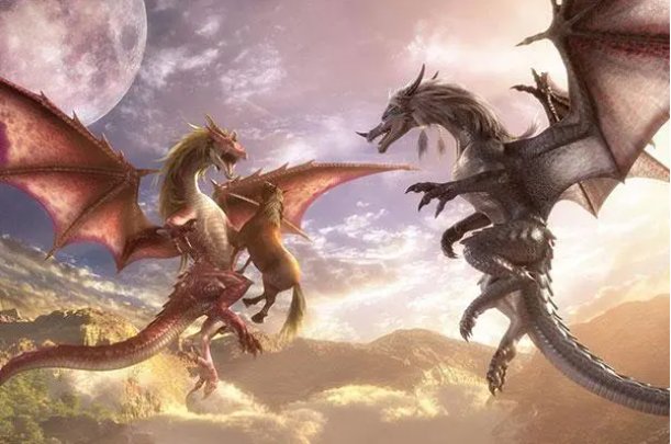 阴风四起是什么生肖