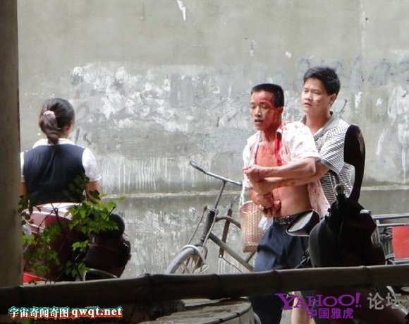 飙血哥的网友评论