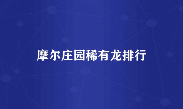 摩尔庄园稀有龙排行