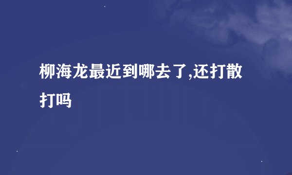 柳海龙最近到哪去了,还打散打吗