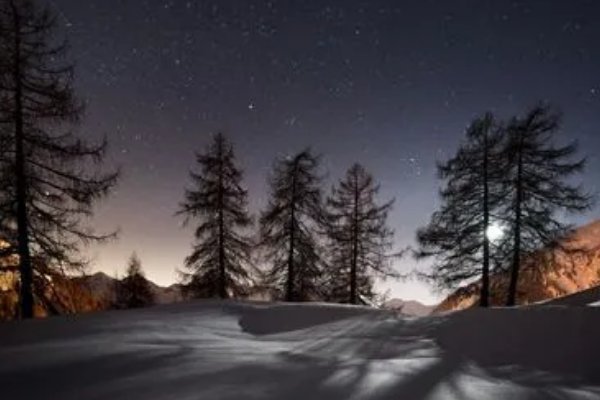 杨家后宅全冬儿讲的什么