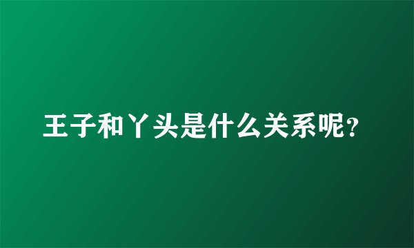 王子和丫头是什么关系呢？