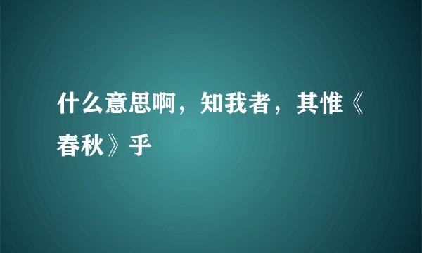 什么意思啊，知我者，其惟《春秋》乎