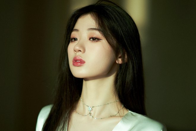 中国好声音人气排名