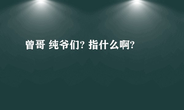 曾哥 纯爷们? 指什么啊?