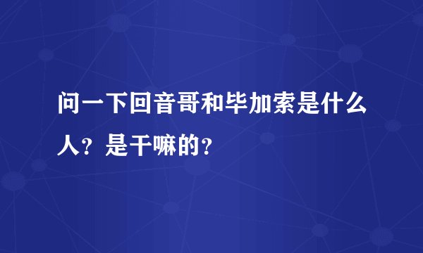 问一下回音哥和毕加索是什么人？是干嘛的？