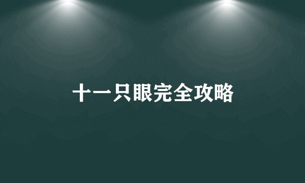 十一只眼完全攻略