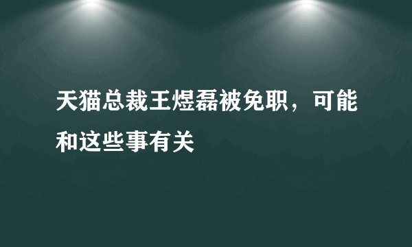 天猫总裁王煜磊被免职，可能和这些事有关