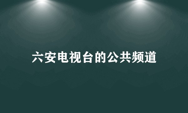 六安电视台的公共频道