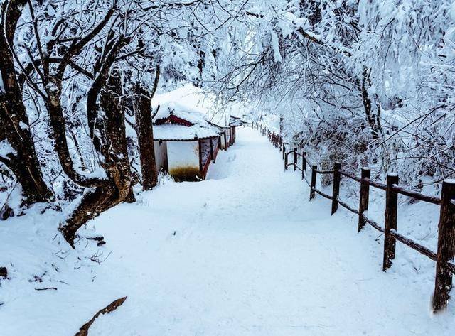 通辽市民早起发现积雪堆到二楼，当地居民需要怎样的帮助？