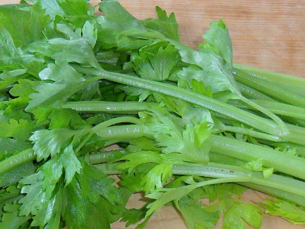 烤鱼盘还可以做什么菜