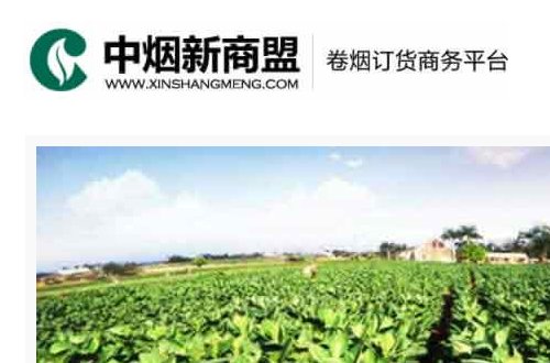 怎样在新盟商网上登录自己的帐号呢？